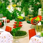 Hostel Terrace