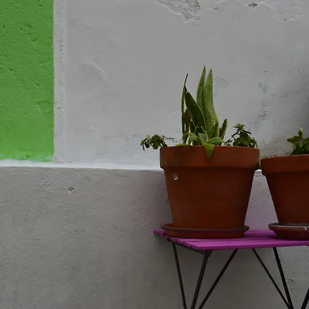 Terrace * Лісабон