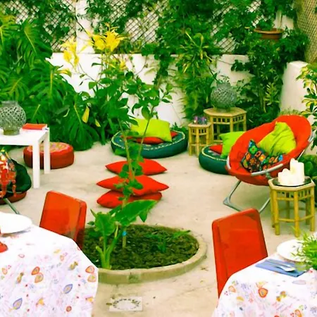 بيت شباب Terrace